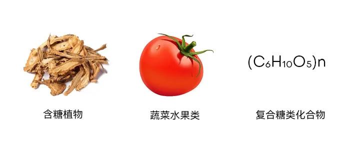 小型糖心网站免费下载旋風分離器內壁粘附濕粉